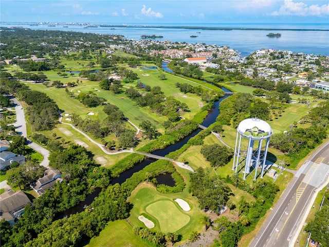 2401 Palm Blvd, Dunedin, FL 34698 - photo 42