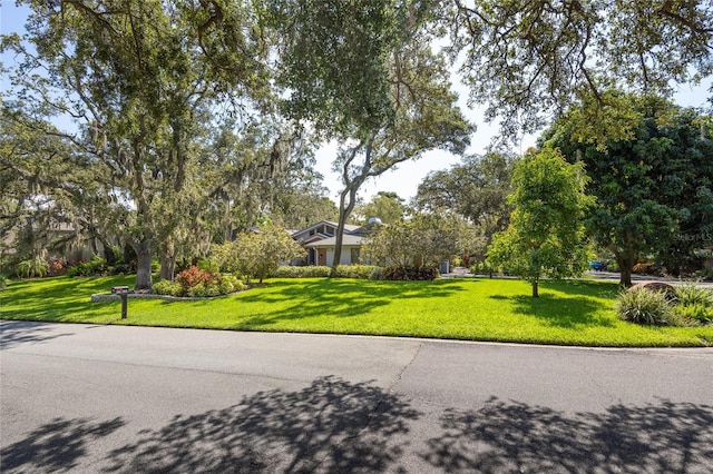 2401 Palm Blvd, Dunedin, FL 34698 - photo 1