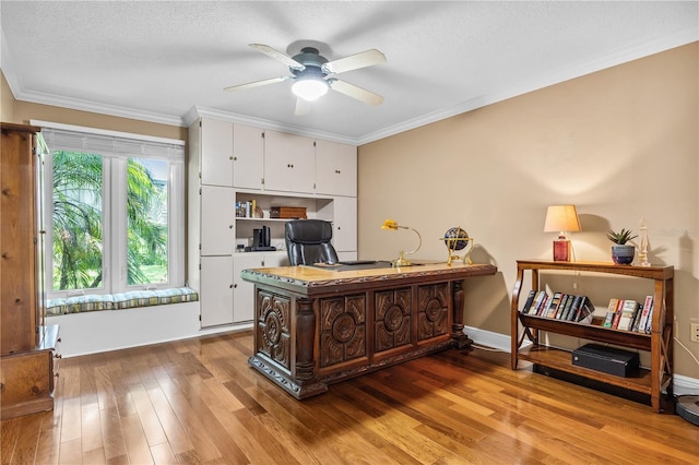 2401 Palm Blvd, Dunedin, FL 34698 - photo 26