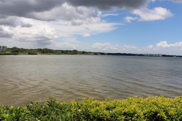 19029 US Highway 19 N Unit 16C, Clearwater, FL 33764 - photo 1