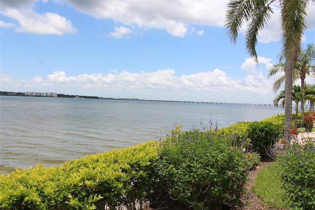 19029 US Highway 19 N Unit 16C, Clearwater, FL 33764 - photo 2