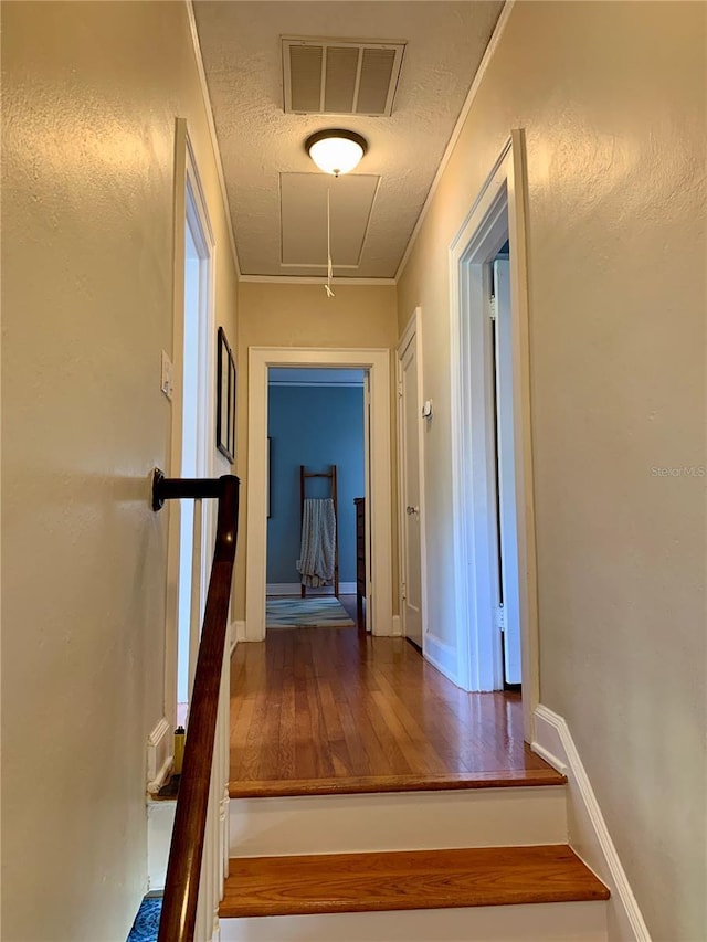 2303 S Ardson Pl, Tampa, FL 33629 - photo 18