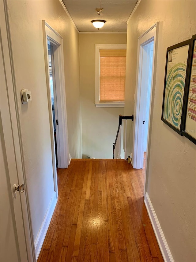 2303 S Ardson Pl, Tampa, FL 33629 - photo 20