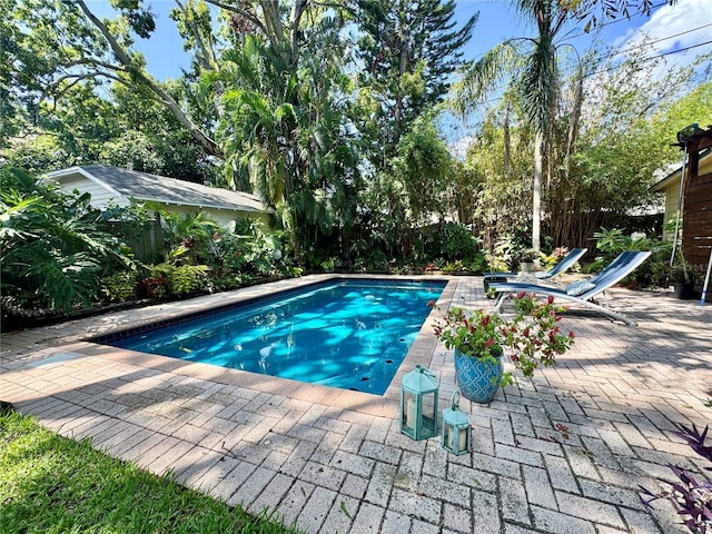 2303 S Ardson Pl, Tampa, FL 33629 - photo 35