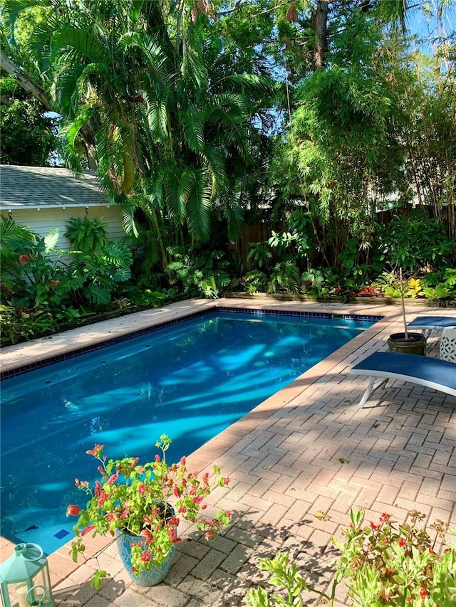 2303 S Ardson Pl, Tampa, FL 33629 - photo 36