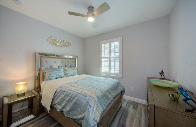 817 Wilkie St, Dunedin, FL 34698 - photo 28