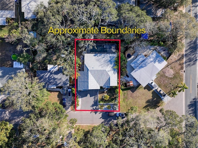 817 Wilkie St, Dunedin, FL 34698 - photo 47
