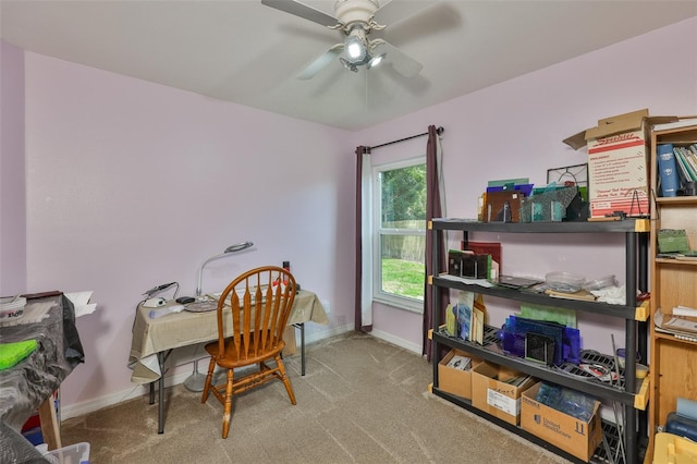 11823 Cedarfield Dr, Riverview, FL 33579 - photo 11