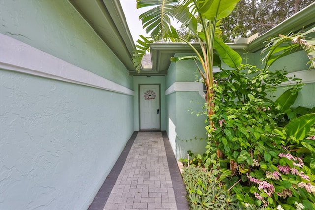 11823 Cedarfield Dr, Riverview, FL 33579 - photo 44