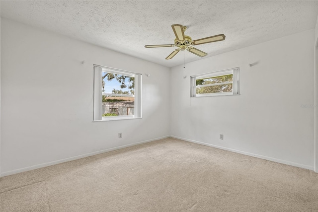 4531 Mohican Trl, Valrico, FL 33594 - photo 39