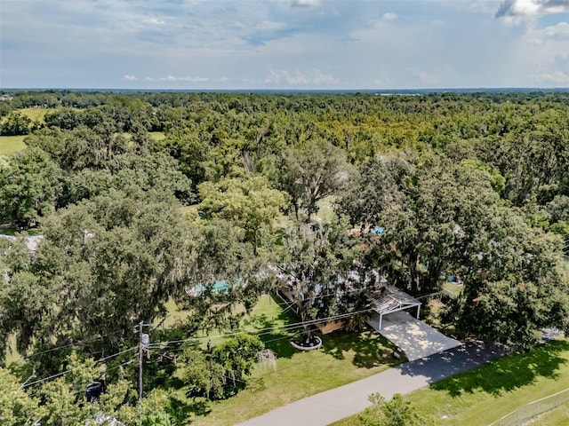 3812 Pennsylvania Ave, Plant City, FL 33566 - photo 18
