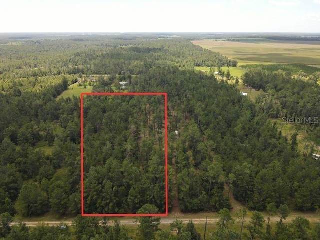 NE Dixon Ct, Lee, FL 32059 - photo 1