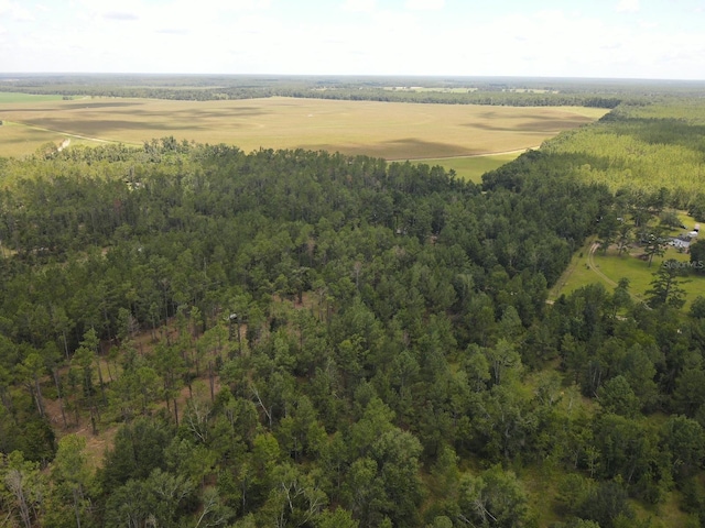 NE Dixon Ct, Lee, FL 32059 - photo 2