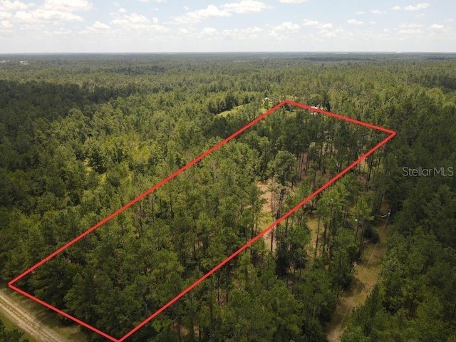 NE Dixon Ct, Lee, FL 32059 - photo 3