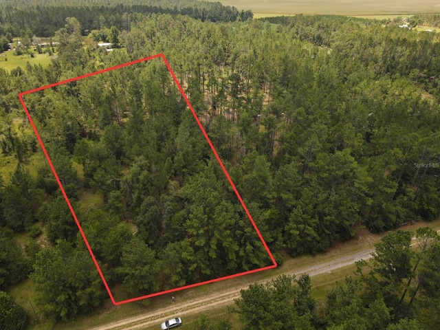 NE Dixon Ct, Lee, FL 32059 - photo 4