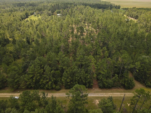 NE Dixon Ct, Lee, FL 32059 - photo 6
