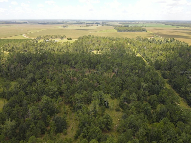 NE Dixon Ct, Lee, FL 32059 - photo 7