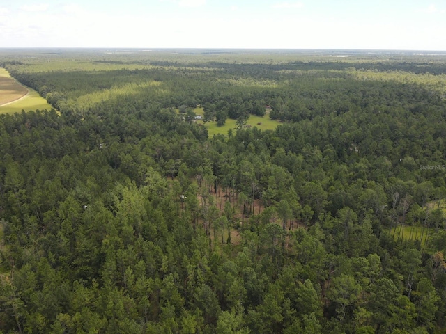 NE Dixon Ct, Lee, FL 32059 - photo 8