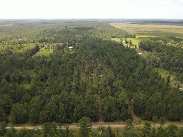 NE Dixon Ct, Lee, FL 32059 - photo 9