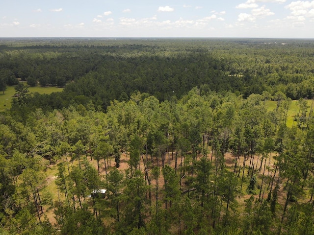 NE Dixon Ct, Lee, FL 32059 - photo 10