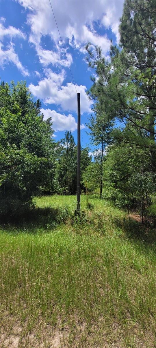 NE Dixon Ct, Lee, FL 32059 - photo 12