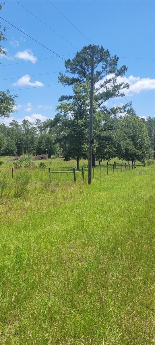 NE Dixon Ct, Lee, FL 32059 - photo 13