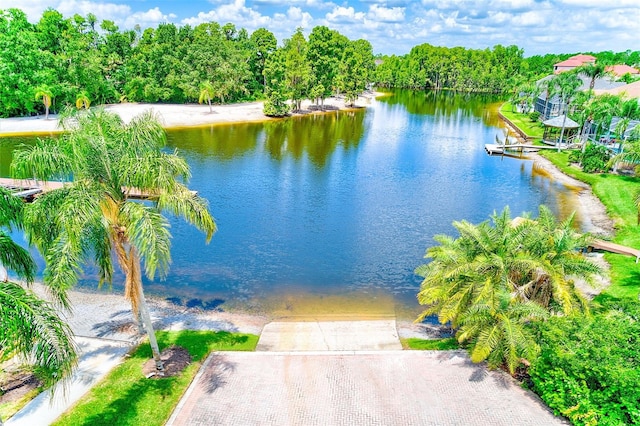 18015 Lanai Isle Dr, Tampa, FL 33647 - photo 57