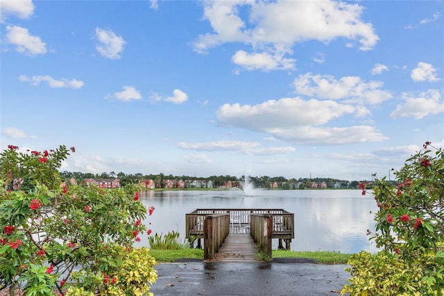 9268 Lake Chase Island Way, Tampa, FL 33626 - photo 29