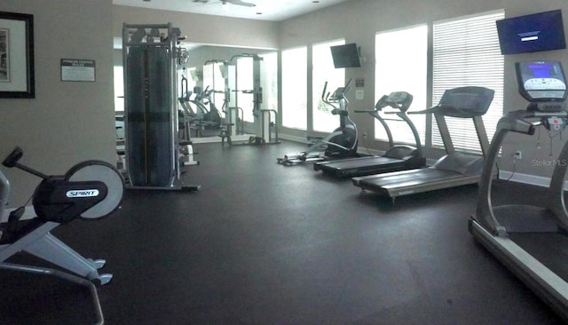 5125 Palm Springs Blvd Unit 2306, Tampa, FL 33647 - photo 12