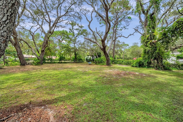 11324 Black Walnut St, Hudson, FL 34669 - photo 4