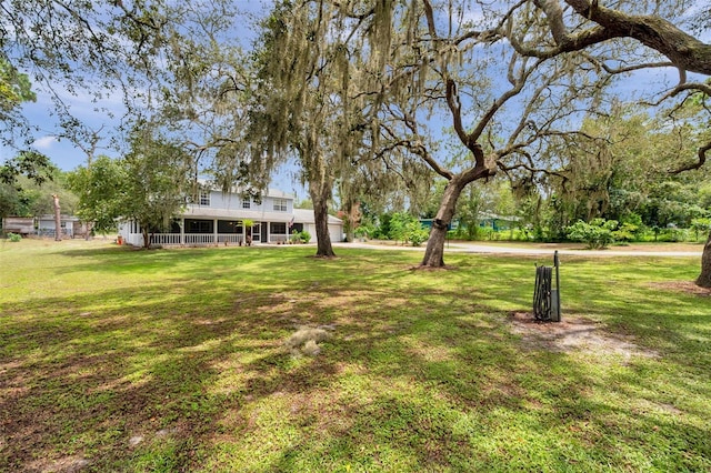 11324 Black Walnut St, Hudson, FL 34669 - photo 7