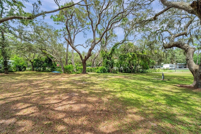 11324 Black Walnut St, Hudson, FL 34669 - photo 8