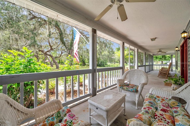 11324 Black Walnut St, Hudson, FL 34669 - photo 54