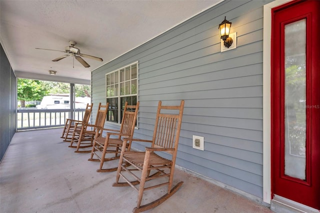 11324 Black Walnut St, Hudson, FL 34669 - photo 63