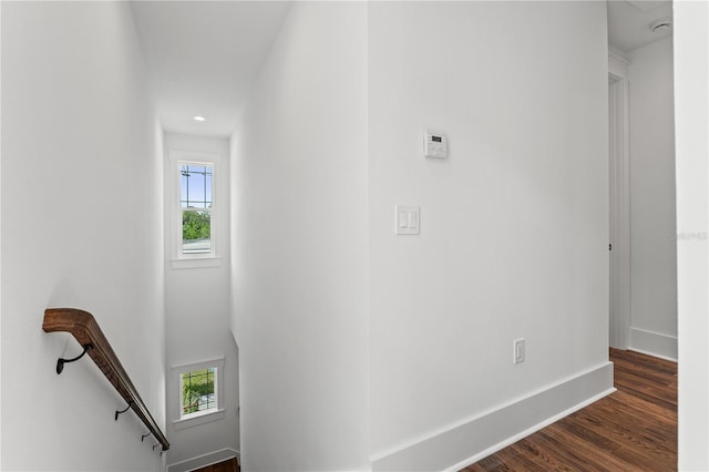 115 W Hiawatha St Unit 1/2, Tampa, FL 33604 - photo 41