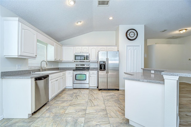 3146 Beaver Pond Trl, Valrico, FL 33596 - photo 10