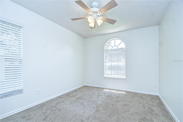 3146 Beaver Pond Trl, Valrico, FL 33596 - photo 20