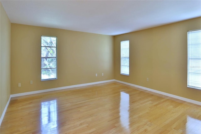 16813 Rolling Rock Dr, Tampa, FL 33618 - photo 18