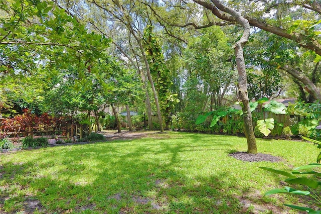 16813 Rolling Rock Dr, Tampa, FL 33618 - photo 26