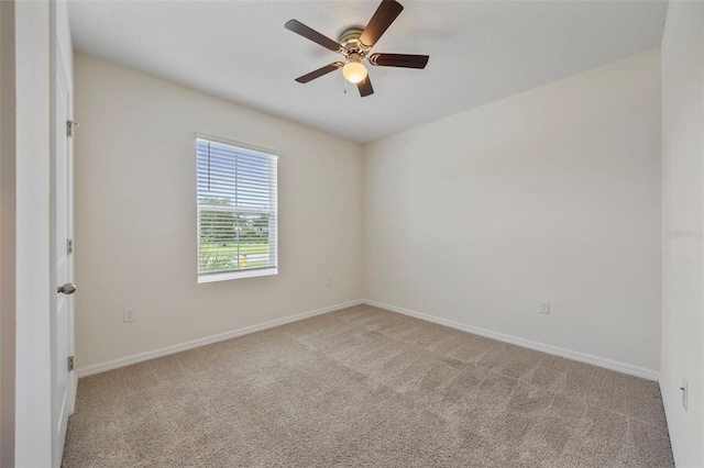 11910 Little Violet Cir, Riverview, FL 33578 - photo 5