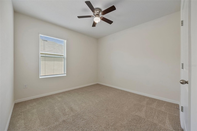11910 Little Violet Cir, Riverview, FL 33578 - photo 9