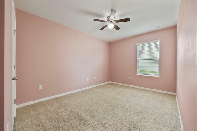 11910 Little Violet Cir, Riverview, FL 33578 - photo 11