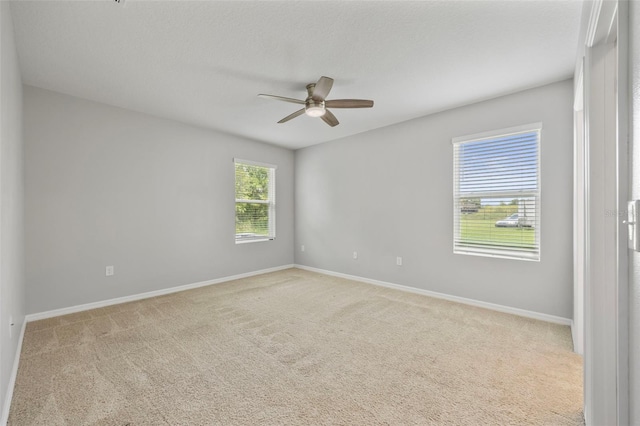 11910 Little Violet Cir, Riverview, FL 33578 - photo 24