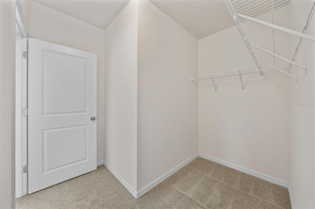 11910 Little Violet Cir, Riverview, FL 33578 - photo 29