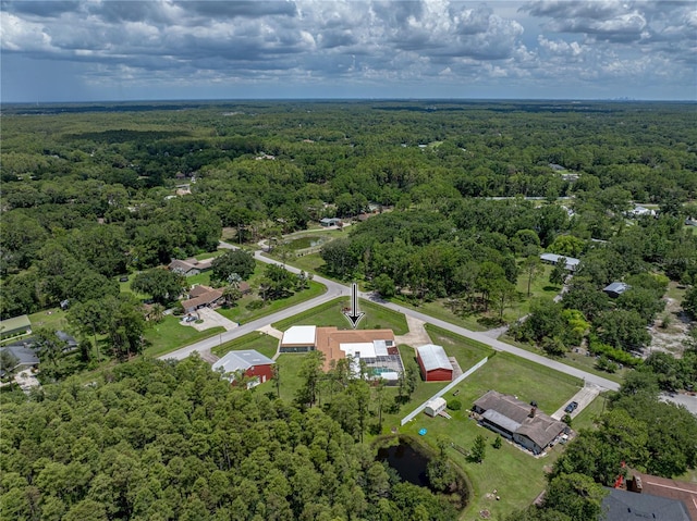 17127 Bridlepath Ct, Lutz, FL 33558 - photo 3