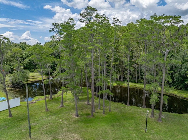 17127 Bridlepath Ct, Lutz, FL 33558 - photo 78