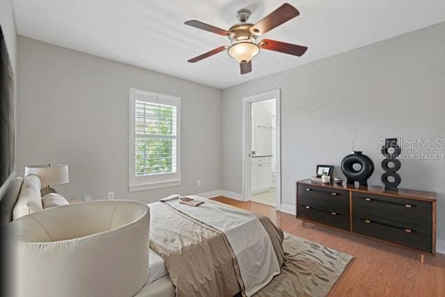 290 Valencia Cir, Saint Petersburg, FL 33716 - photo 29