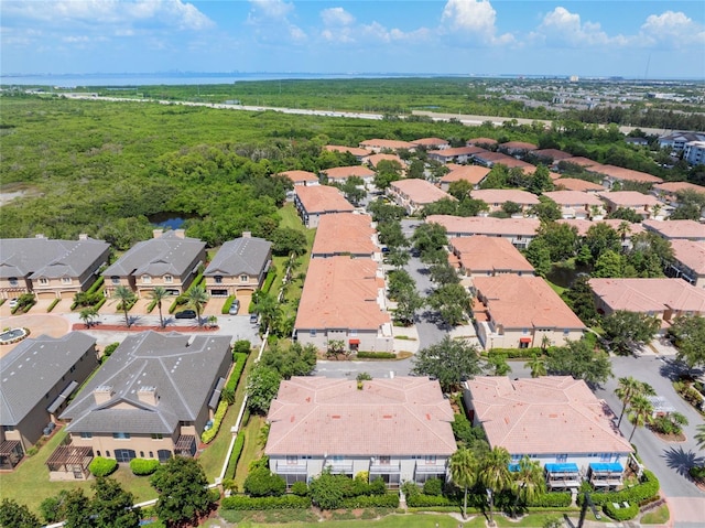 290 Valencia Cir, Saint Petersburg, FL 33716 - photo 44