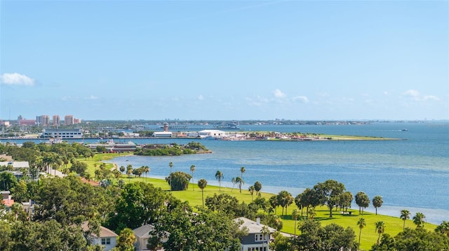 246 23rd Ave SE, Saint Petersburg, FL 33705 - photo 23