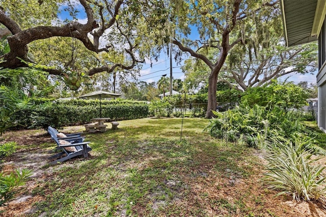 600 N Mayo St, Crystal Beach, FL 34681 - photo 9